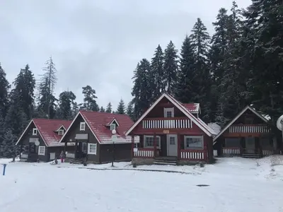 a group of wooden homes in the snow at Chalet Sofia in Borovets