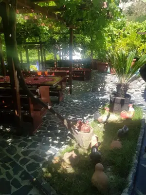 a group of rubbericans sitting in the grass in a garden at Комплекс Рожена, хотел, хотелски комплекс Рожена in Rozhen