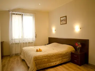 a bedroom with a large bed and a window at Bizev Hotel in Bansko