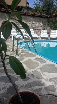 a plant in a pot next to a swimming pool at Guest House Todorini kashti in Koprivshtitsa