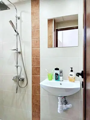 a bathroom with a sink and a shower at Ayki - historic centre apartment in Sofia