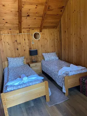 two beds in a room with wooden walls at Вила Мерджан in Sarnitsa