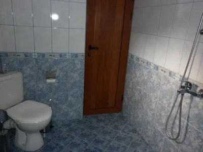 a bathroom with a toilet and a shower at Guest House Mavrudieva in Koprivshtitsa