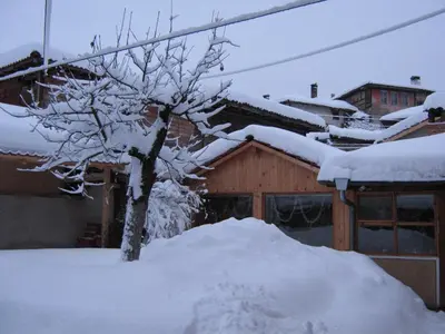 a tree covered in snow in front of a house at Guest Rooms Bashtina Striaha in Koprivshtitsa