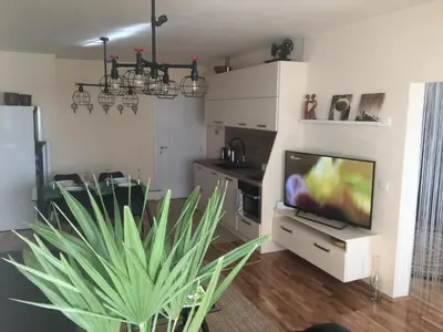 a living room with a television and a plant at Panorama Apartment Darvenitsa in Sofia