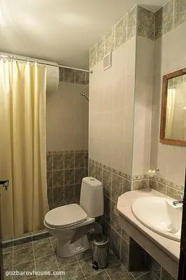 a bathroom with a toilet and a sink and a shower at Gozbarov's Guest House in Koprivshtitsa