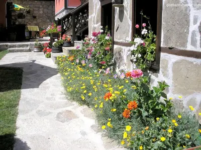 a garden of flowers in front of a building at Gozbarov's Guest House in Koprivshtitsa