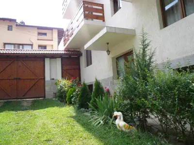 two ducks standing in the grass in front of a house at Guest Rooms Vachin in Bansko