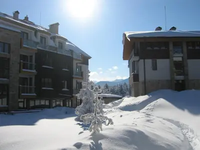 a tree covered in snow in front of buildings at Chamkoria Chalets in Borovets