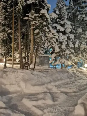 a snow covered park with trees in the background at Saint George Borovets Hotel in Borovets