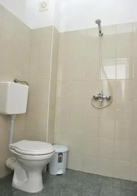a bathroom with a toilet and a shower at Family Hotel Blazhi in Sandanski