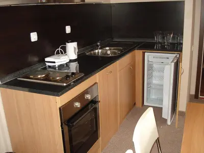 a small kitchen with a sink and a stove at Snezhanka Apartments TMF in Pamporovo