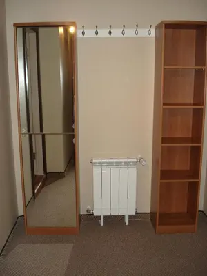 a bathroom with a mirror and a closet with a radiator at Snezhanka Apartments TMF in Pamporovo