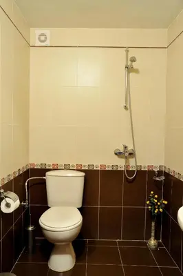 a bathroom with a toilet and a shower at Guest House Dzhangal in Bansko