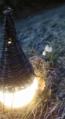 a bird sitting in the grass with a light at Omaya Eco Village in Gaytaninovo