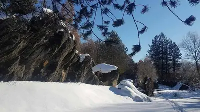 a snow covered hill with trees and a mountain at Omaya Eco Village in Gaytaninovo