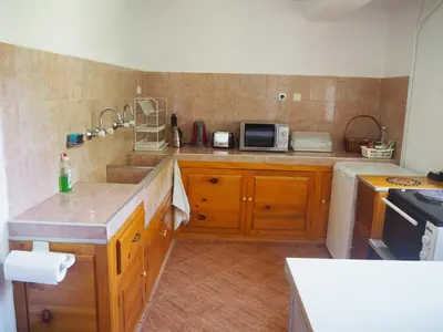 a kitchen with a sink and a microwave at Орбелус in Govedartsi