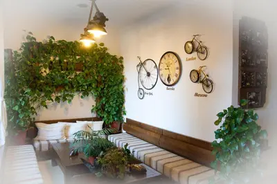 a room with plants and clocks on the wall at Molerite Complex in Bansko