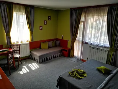 a bedroom with two beds and two windows at Zigen House in Bansko