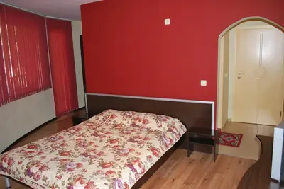 a bedroom with a bed and a red wall at Hotel Milenium in Sofia