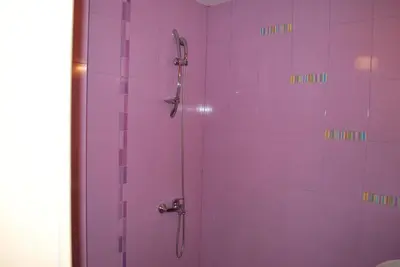 a bathroom with a shower with purple tiles at Hotel Milenium in Sofia