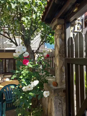 a garden with flowers on a fence and a tree at Guest house Skabrin in Bansko