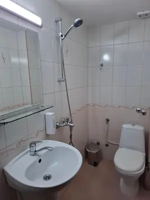 a bathroom with a sink and a toilet and a mirror at Guest house Skabrin in Bansko