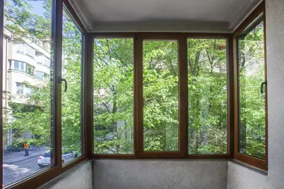 a window in a room with trees outside at Spacious flat close to the American Embassy, free parking place in Sofia