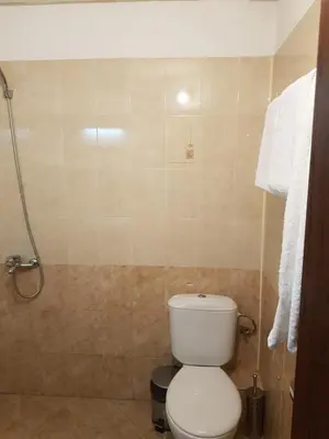 a bathroom with a toilet and a shower at Hotel Diavolo in Sofia