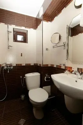 a bathroom with a toilet and a sink at Family hotel Makedonska Kruchma in Dobrinishte