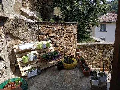 a garden with potted plants and a stone wall at 