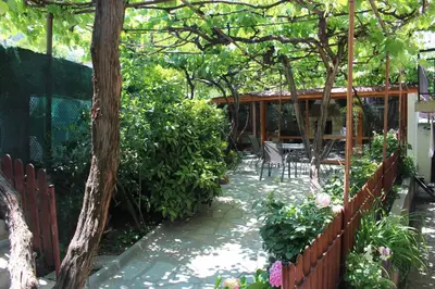 a garden with a wooden fence and a patio at Apartment Raya in Sapareva Banya