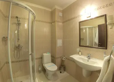 a bathroom with a toilet and a sink and a shower at Hotel Iva & Elena in Pamporovo