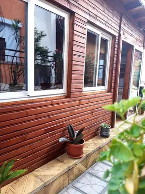a porch of a house with two windows and a potted plant at Guest Rooms IDeR in Sapareva Banya