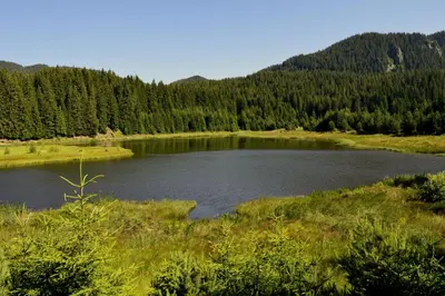 a lake in the middle of a field with trees at Northstar Ski Apartment in Mountain Lake Hotel in Pamporovo