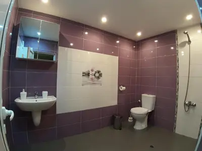 a bathroom with a sink and a toilet at Къща за гости Романс in Yagodina