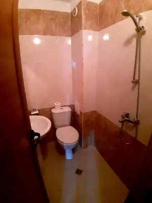 a small bathroom with a toilet and a sink at Family Hotel Pautalia in Sandanski
