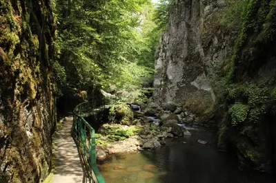 a bridge over a river in a forest at Pamporovo Hotel Snezhanka A425 in Pamporovo