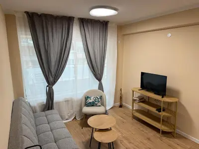a living room with a couch and a television at Kamy-Sophia Apartment in Sofia