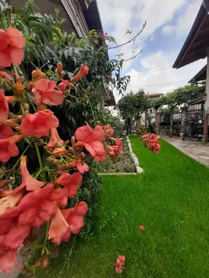 a row of flowers on the side of a house at Къща за гости Ози in Ovchartsi