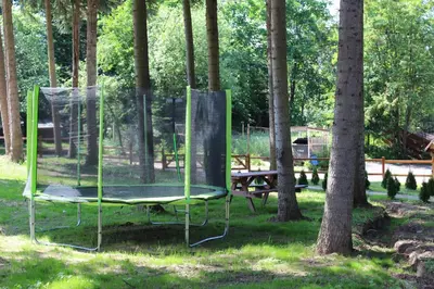 a swing set in a park with trees at Boro Green Holiday Village in Borovets