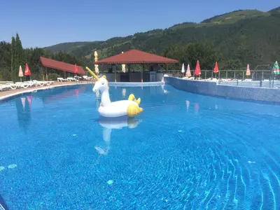 a swan float in a pool at a resort at Park Hotel Ribaritsa in Ribarica