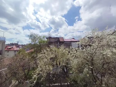 a house on top of a hill with trees at Top Center Apartment 7 in Sofia