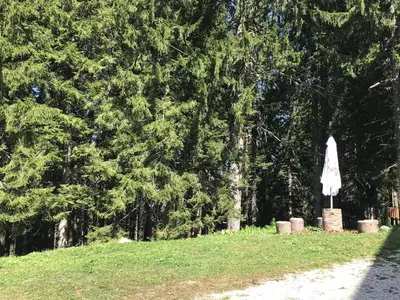 a white umbrella sitting in a field next to trees at Apartment Lucy in Pamporovo