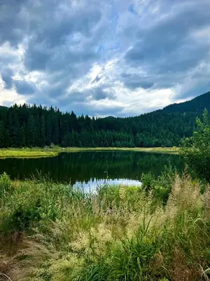 a large lake in the middle of a forest at RELAX aпартаменти, Смолянски езера, вила ВЕНЕРА, к-с Маунтин Лейк in Smolyan