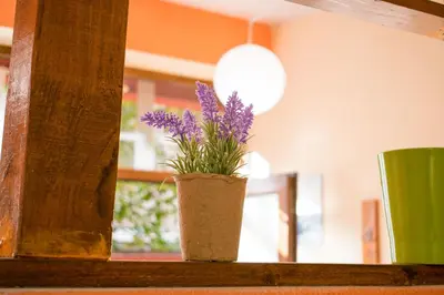 a vase with purple flowers sitting on a window sill at 4 Seasons apartments, A1 in Plovdiv