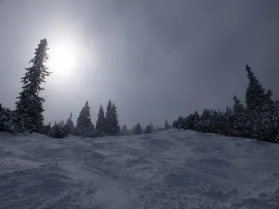 a snow covered hill with trees and the sun in the sky at Borovets Apartment, Villa Park in Borovets