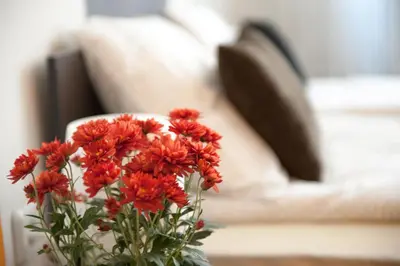 a vase filled with red flowers on a table at Vitosha Blvd - Family and Friends Apart in Sofia