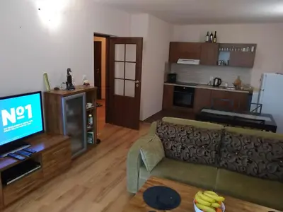 a living room with a couch and a television at Evrika Forest in Pamporovo