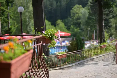 a park bench with a potted plant on it at Balkan Hotel in Chiflik
